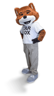 CAR FOX full body - EN-1